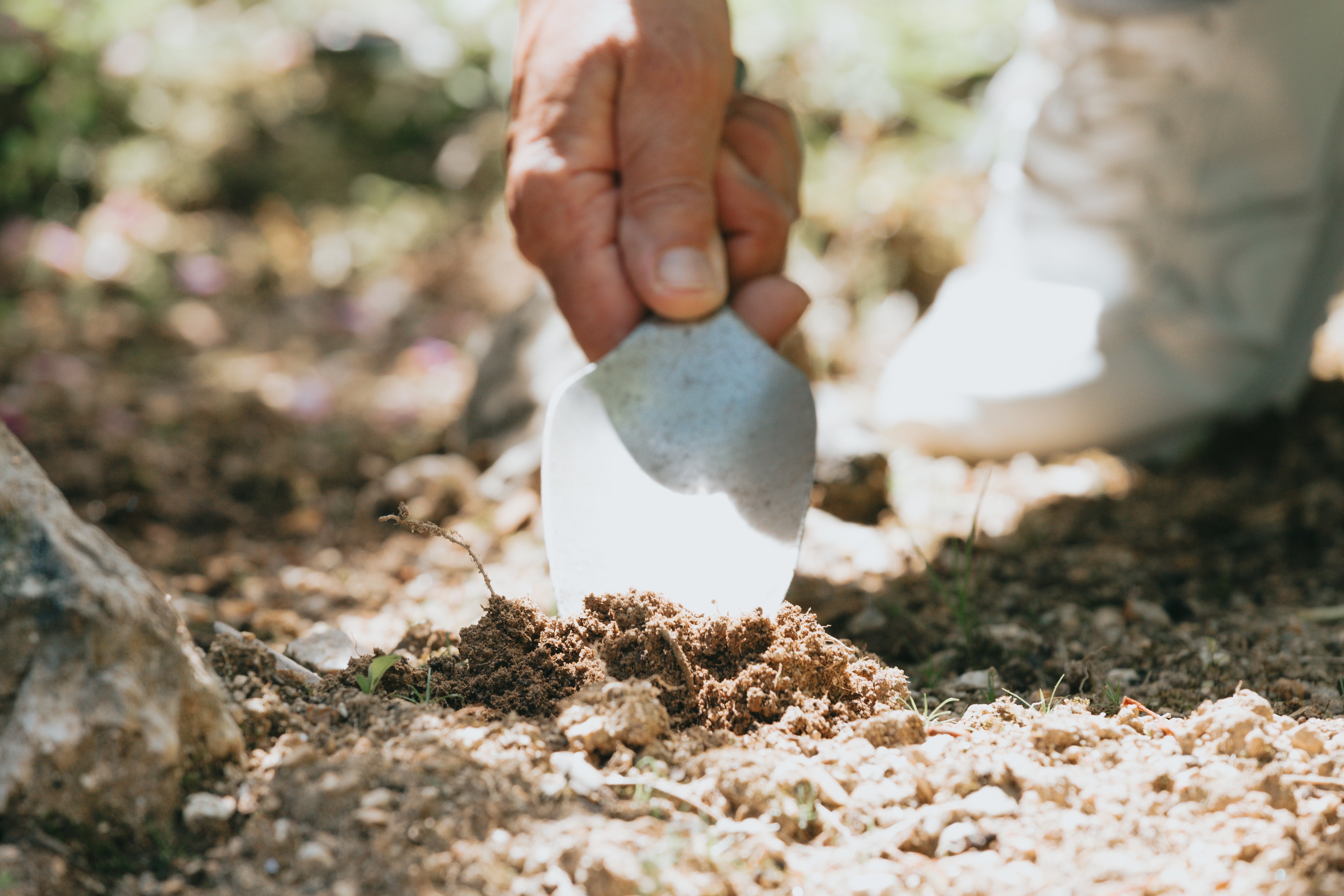 Close-up of a hand digging soil outdoors with a small silver trowel and a white sneaker visible in background gallery 1