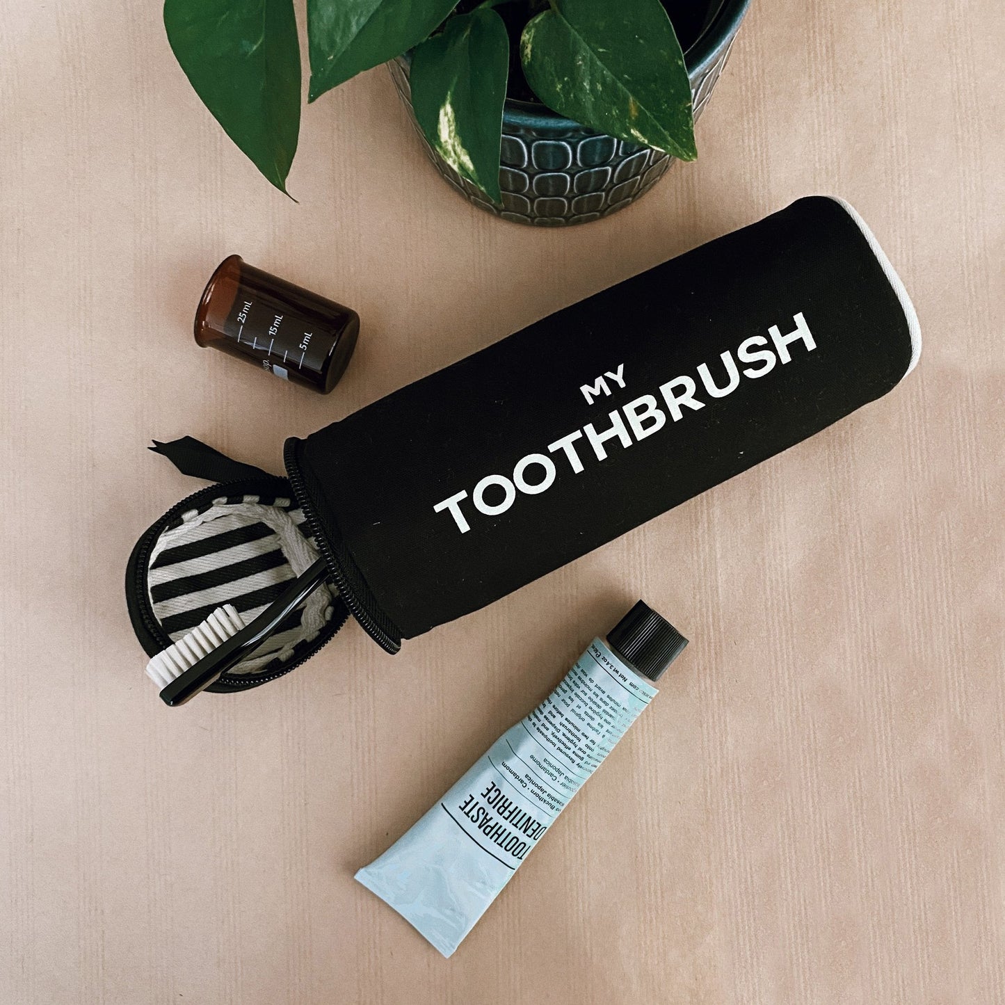 Bag-all black cylindrical toothbrush case with white text, zipper open showing striped interior, styled with tubes and plant nearby
