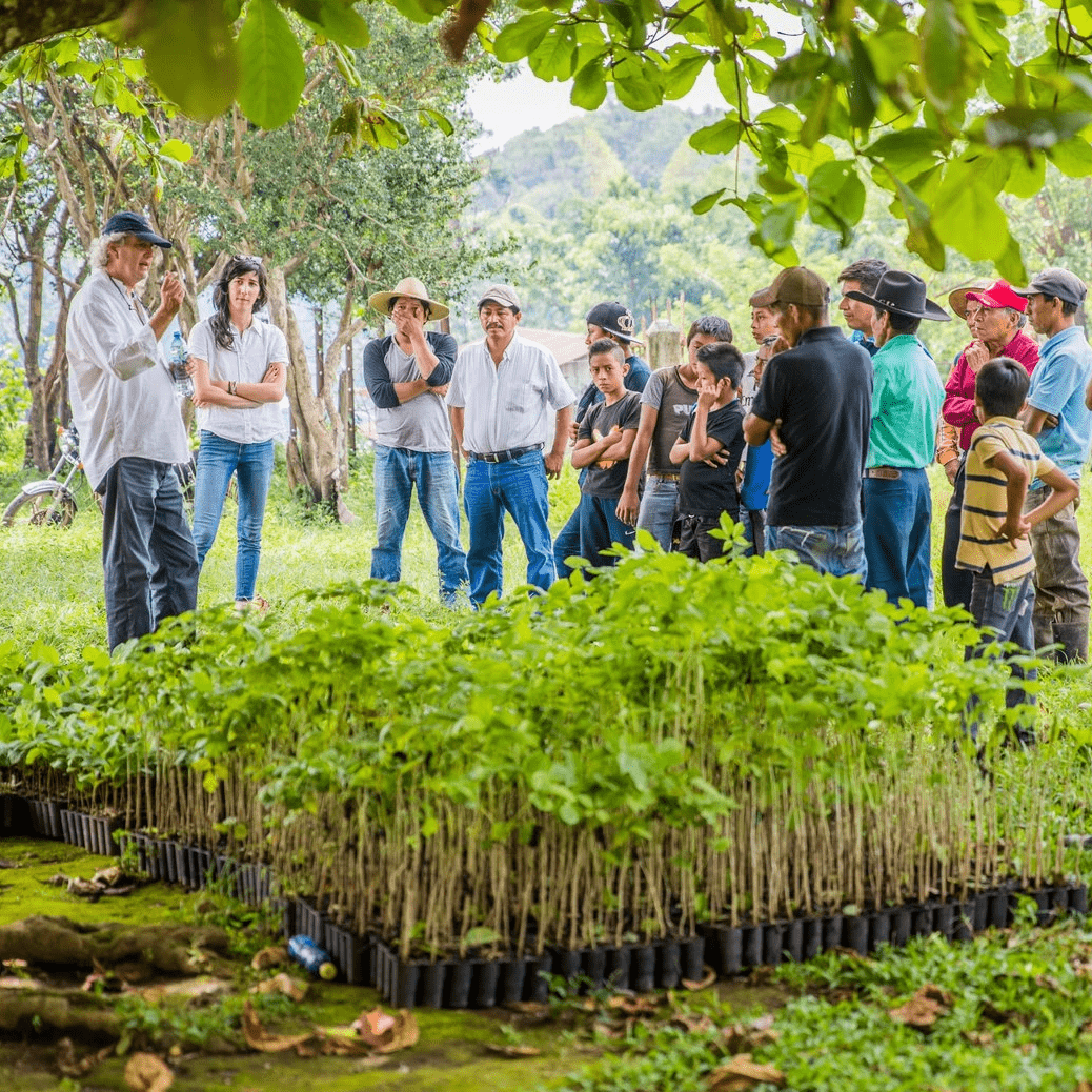 Group gathered around nursery plants at One Tree Planted reforestation project, demonstrating Bag-all's commitment to sustainability through monogram purchases that plant trees.