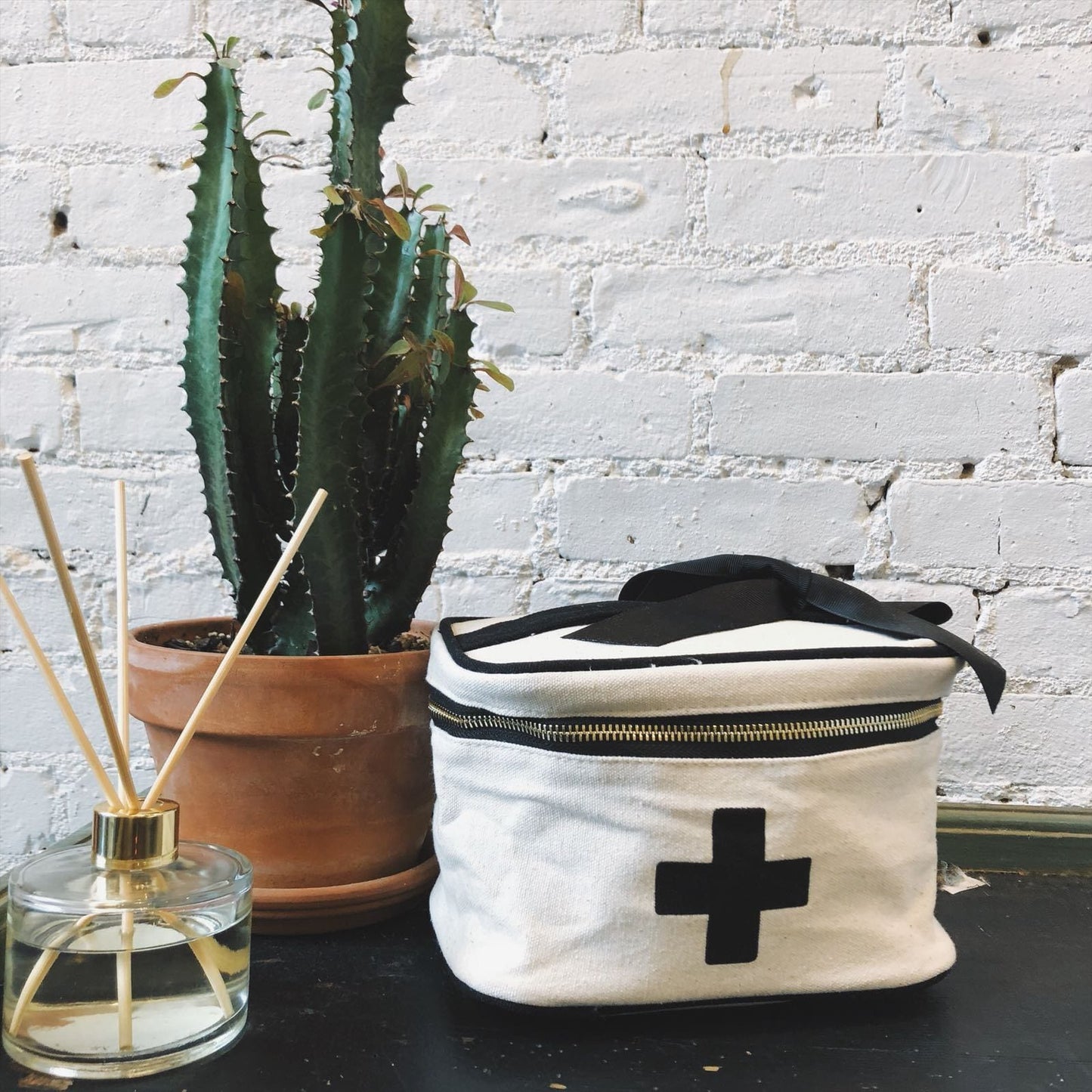 
                                      
                                        A snake plant on a table with a medical cross box in white. 
                                      
                                    