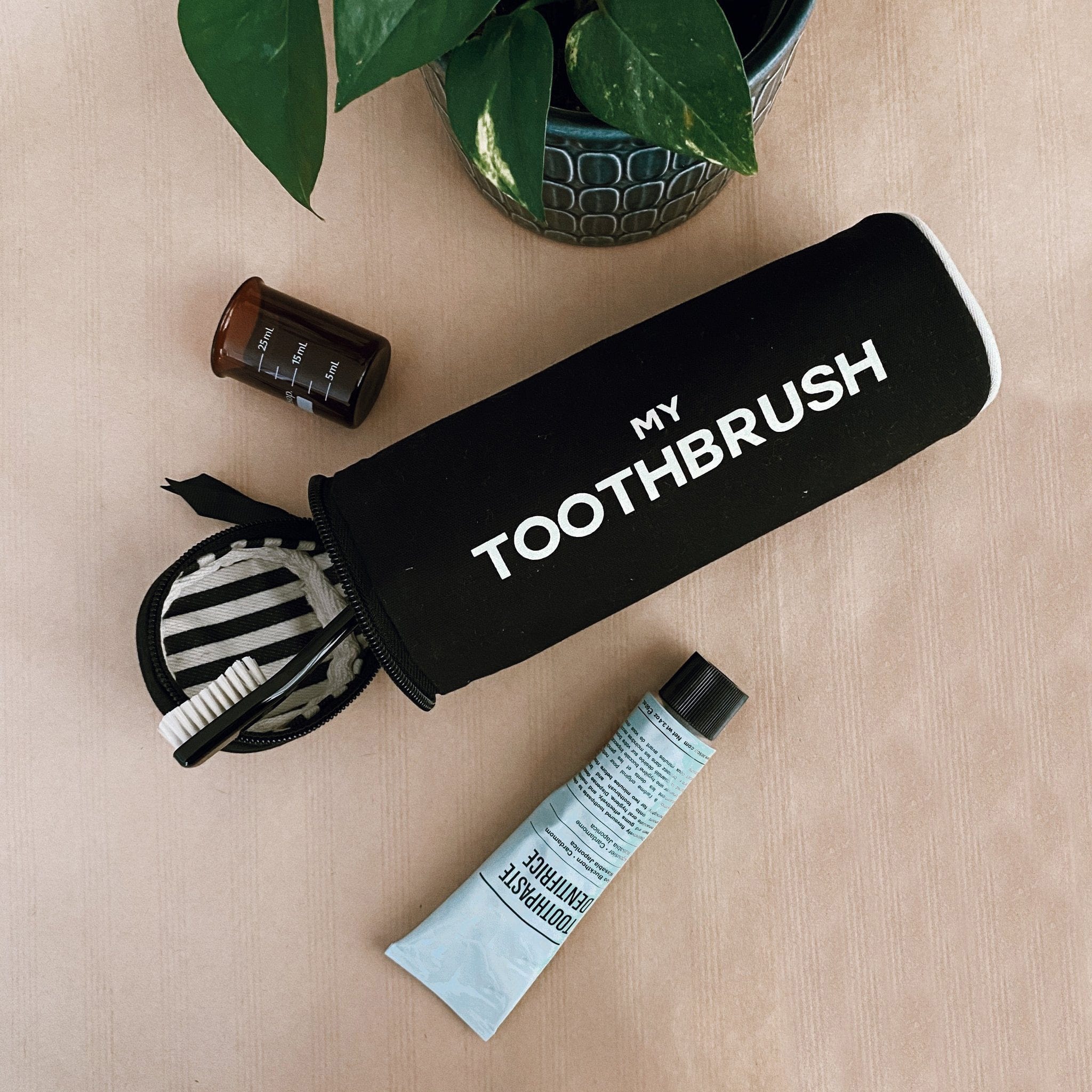 Travel toothbrush case that can fit multiple brushes and toothpaste. 